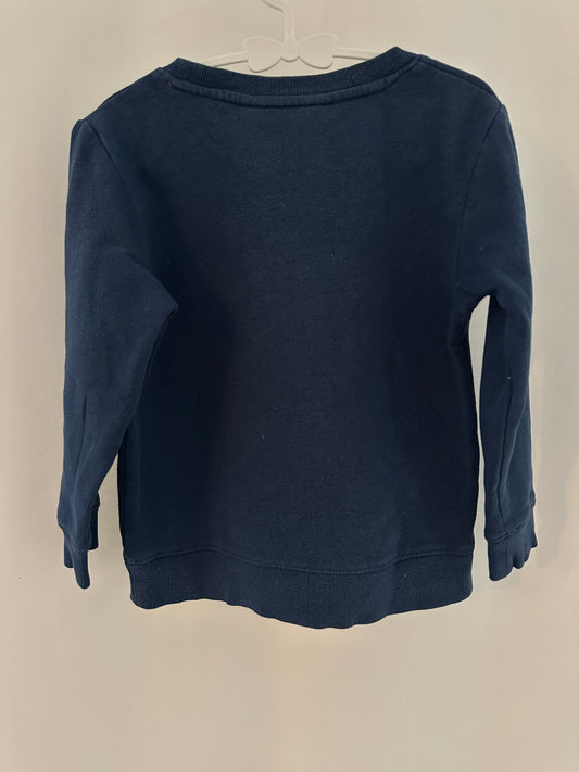 Pullover mit Pailletten Gr. 104