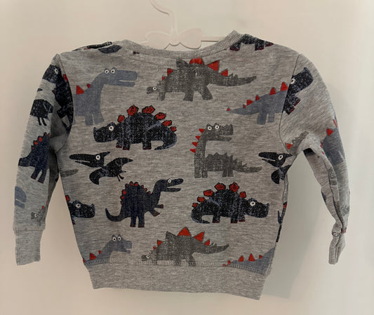Pullover Dinosaurier Gr. 74