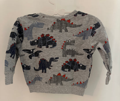Pullover Dinosaurier Gr. 74