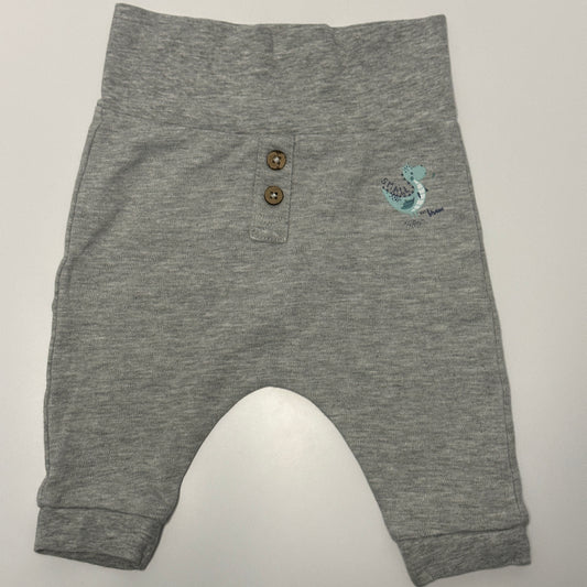 Baby Jogginghose mit Dino-Motiv Gr. 62/68