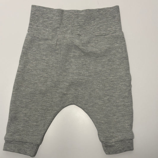 Baby Jogginghose mit Dino-Motiv Gr. 62/68